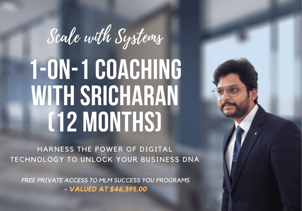 12-Month Consulting Program